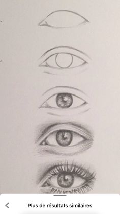 a drawing of different eyes and their corresponding parts