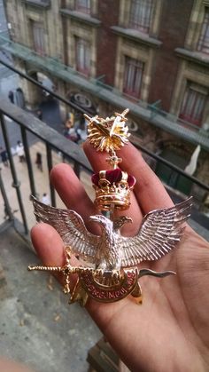 a hand holding a gold and red bird brooch