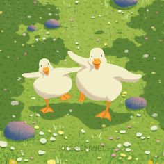 two white ducks are walking in the grass