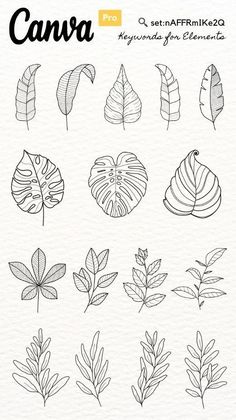 the leaves are drawn in black and white, with text that says canva on it