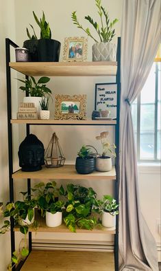 the shelves are filled with potted plants and other houseplants in front of a window