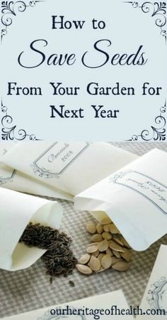 some seeds are laying on top of paper and the words how to save seeds from your garden for next year