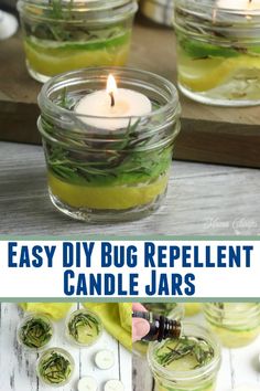 homemade diy bug repellent candle jars with lemons and herbs in them