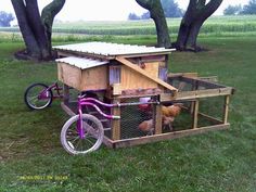 a purple bike parked next to a chicken coop on top of a green grass covered field