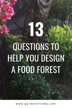 the words 13 questions to help you design a food forest