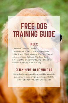 a dog with its tongue hanging out and the words free dog training guide above it