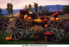 an old wagon filled with flowers and pumpkins