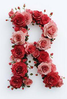 the letter r is made up of pink and red flowers