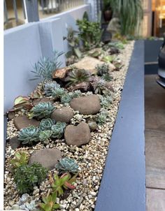 an assortment of succulents and rocks in a planter on the side of a building