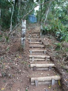 a set of steps made out of wood in the woods