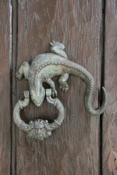 an ornate door knockle on the side of a wooden door with a lizard head