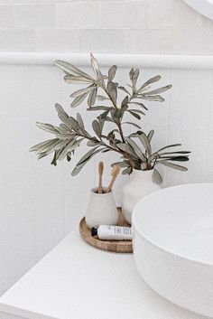 a plant in a white vase sitting on top of a counter next to a sink