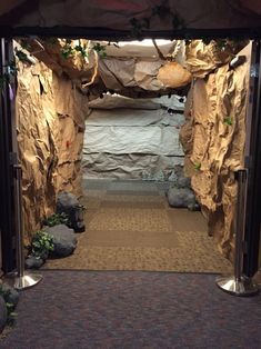 an entrance to a cave with rocks and plants