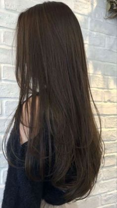 Brown Hair Inspo, Long Brown Hair, Haircuts Straight Hair, Hair Stylist Life, Haircuts For Long Hair, Hair Inspo Color, Silky Hair, Dream Hair, Long Hair Cuts