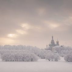 a snowy landscape with trees in the foreground and a castle in the back ground