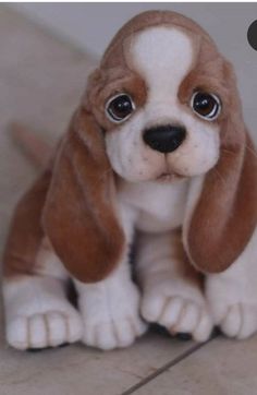 a brown and white puppy sitting on top of a tile floor