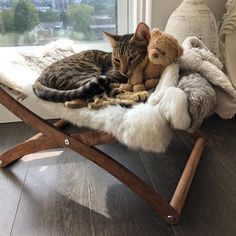 a cat laying on top of a chair next to a stuffed animal