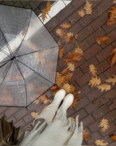 a person standing under an umbrella on a brick walkway with leaves all over the ground