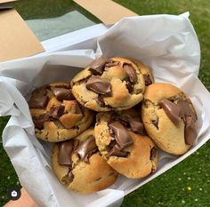 chocolate chip cookies in a paper bag on the grass