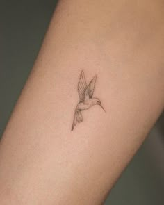 a small bird tattoo on the arm