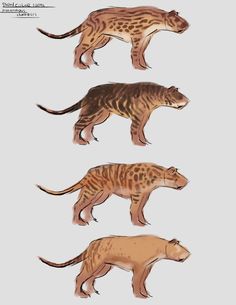 three different types of leopards are shown in this drawing, one is brown and the other is black