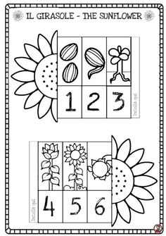 the printable worksheet for numbers 1 - 5 with flowers and sunflowers