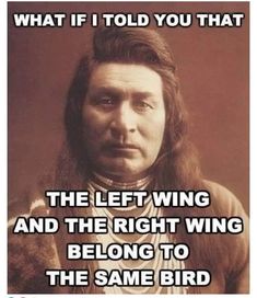 an old photo with the caption that reads, what if told you that? the left wing and the right wing belong to the same bird