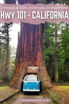 a blue and white van parked in front of a large tree with the words strange & cool roadside attractions hwy 101 - california