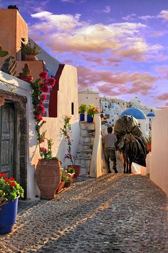 two people walking down a cobblestone street with a horse and carriage in the foreground