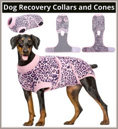 Kuoser Dog Surgery Recovery Suit, Recovery Suit for Female Male Dogs, Dog Onesie After Surgery Spay Neuter, Anti-Licking Pet Dog Cone Alternative, Dog Onesie, Cat Onesie, Dog Onesies, Recovery Shirts, Protective Dogs, Dog Cone, Dog Tuxedo, Dog Spay