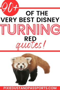 a red panda with the words 101 of the very best disney turning red quotes