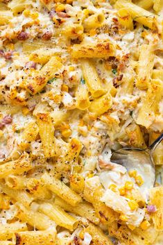 a casserole dish with chicken, pasta and cheese