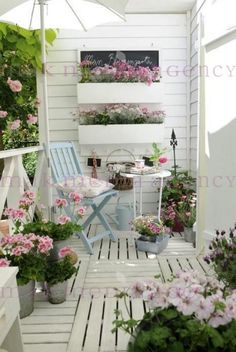 an outdoor patio with flowers and potted plants