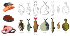 an image of different types of fish on white paper with words above it that read,