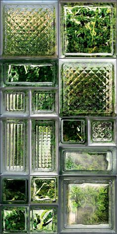 several glass blocks with plants in them