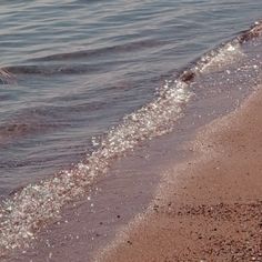 a bird is flying over the water at the beach