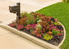 a mailbox in the middle of a flower bed