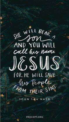 a christmas tree with the words, she will bear a son and you will call his name jesus for he will save his people from their sin