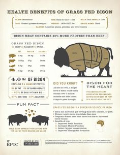 the health benefits of grass fed bison info sheet with information on how to use it