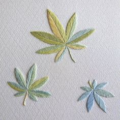 three different colored leaves on a white paper background, one is green and the other is blue