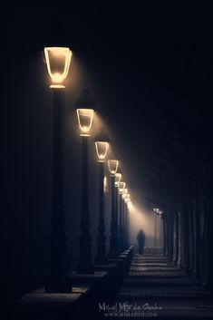 a row of street lights in the dark