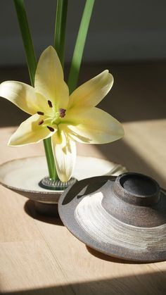 a white flower in a vase on a wooden table next to a plate with a hat