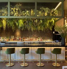 a bar with green chairs and plants hanging from the ceiling