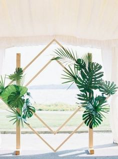 an instagramted photo with two plants in front of a window