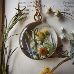 a glass pendant with flowers in it sitting on top of a book next to some plants