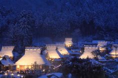 snow covered houses and trees at night with lights on