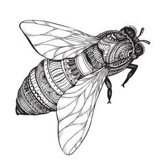 a black and white drawing of a honeybee on a pillow cover with decorative details