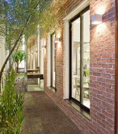 an alley way with brick walls and plants on either side is lit by outdoor lighting