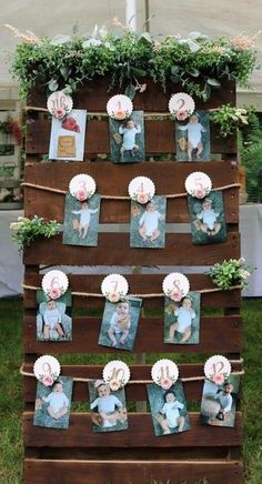 a wooden pallet with pictures on it and flowers growing out of the pallets