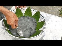 a man is decorating a potted plant with cement and green leafy leaves